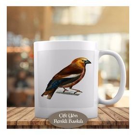 HEDIYELIK-1284-9771 Daldaki Kızgın Kuş Kupa Bardak
