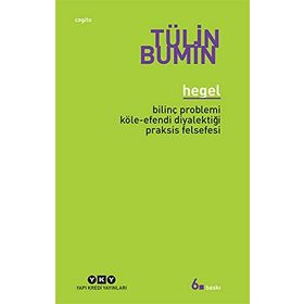 HEGEL BİLİNÇ PROBLEMI, KÖLE-EFENDI DİYALEKTİĞİ, PRAKSIS FELSEFESI - TÜLİN BUMIN