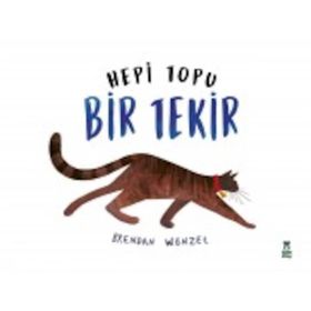 Hepi Topu Bir Tekir - Brendan Wenzel