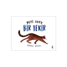 Hepi Topu Bir Tekir - Brendan Wenzel