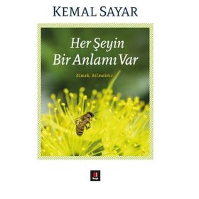 Her Şeyin Bir Anlamı Var - Olmak Bilmektir - Kemal Sayar