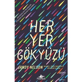 Her Yer Gökyüzü - Jandy Nelson