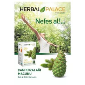 Herbal Palace 240 gr Çam Kozalağı Macunu
