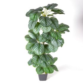 Herdekora Ararot Arrowroot Gerçek Dokulu 64 Yaprak Yeşil 120 cm Yapay Ağaç