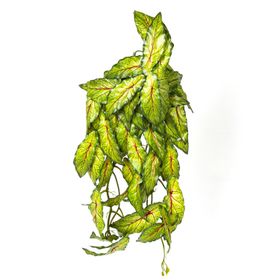 Herdekora Salon Sarmaşığı 80 cm Yapay Bitki