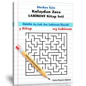 Herkes İçin Kolaydan Zora Labirent Enine Boyuna Eğitim