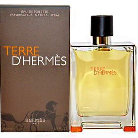 Hermes Terre D EDT 100 ml Erkek Outlet Parfüm