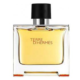 Hermes Terre D Hermes EDP 75 ml Erkek Parfümü