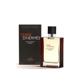 Hermes Terre D Hermes Intense EDP 100 ml Erkek Parfüm