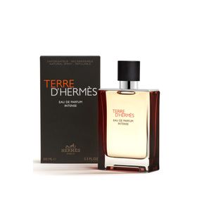 Hermes Terre D Hermes Intense EDP 100 ml Erkek Parfüm