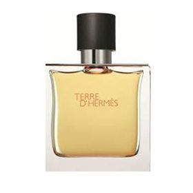 Hermes Terre D'Hermes EDT 100 ml Erkek Parfümü