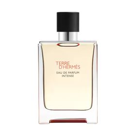 Hermes Terre D'Hermes Intense EDP 50 ml Erkek Parfümü