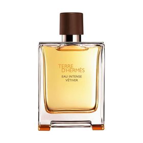 Hermes Terre Eau Intense Vetiver EDP 100 ml Outlet Erkek Parfüm