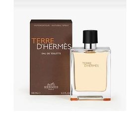 Hermes Terree EDT 100 ml Erkek Parfüm