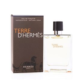 Hermes Terree EDT 100 ml Erkek Parfüm