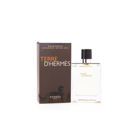Hermes Terree EDT 100 ml Erkek Parfüm