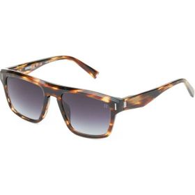 Hermossa HM 1627 C2 Dikdörtgen Havana Unisex Güneş Gözlüğü