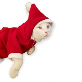 Herotasarım Teddy Noel Kapşonlu Kedi Sweatshirt