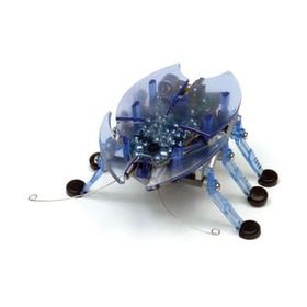 Hexbug Mavi Böcek
