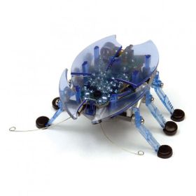 Hexbug Mavi Böcek