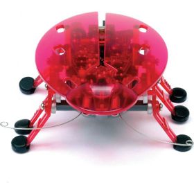 Hexbug Pembe Böcek