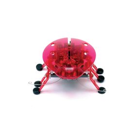 Hexbug Pembe Böcek