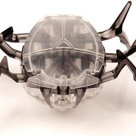 Hexbug Siyah Bok Böceği