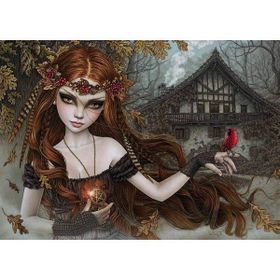 Heye 29829 Redbird 1000 Parça Puzzle