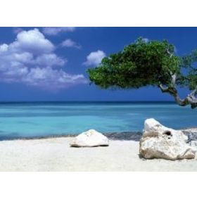Heye Divi Divi Tree 1000 Parça Puzzle