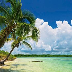 Heye Paradise 2000 Parça Puzzle