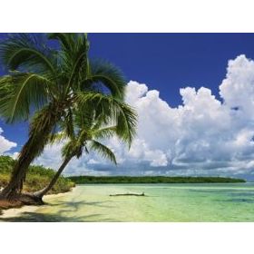 Heye Paradise 2000 Parça Puzzle