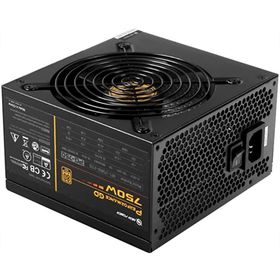 High Power HP1-J600GD-F12S Performance GD 600 W 80+ Gold Aktif PFC Siyah ATX Güç Kaynağı