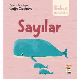 Hikayeli İlk Kavramlarım - Sayılar Sincap Kitap