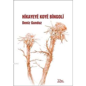 HIKAYEYE KOYE BINGOLİ - DENIZ GÜNDÜZ