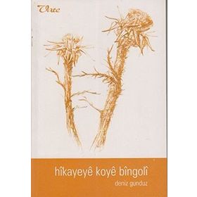 HIKAYEYE KOYE BINGOLİ - DENIZ GÜNDÜZ