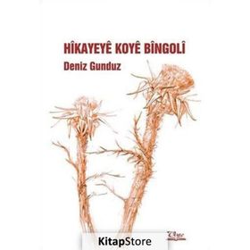 HIKAYEYE KOYE BINGOLİ - DENIZ GÜNDÜZ