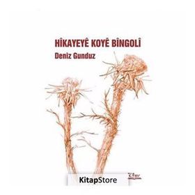 HIKAYEYE KOYE BINGOLİ - DENIZ GÜNDÜZ