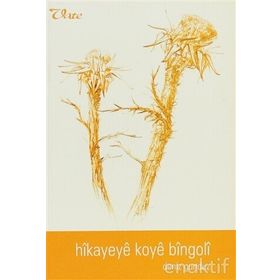 HIKAYEYE KOYE BINGOLİ - DENIZ GÜNDÜZ