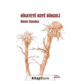 HIKAYEYE KOYE BINGOLİ - DENIZ GÜNDÜZ