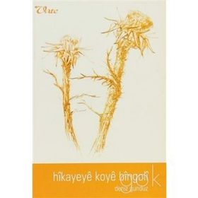 HIKAYEYE KOYE BINGOLİ - DENIZ GÜNDÜZ