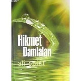 HIKMET DAMLALARI - ALI POLAT