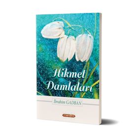 HIKMET DAMLALARI - ALI POLAT