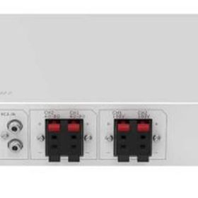 Hikvision DS-QAE0A60G1-VB 60 W Analog Amplifikatör