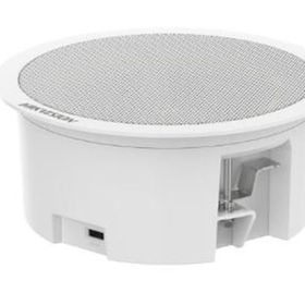 Hikvision DS-QAZ0203G1-S 3 W Network Asma Tavan İkincil Hoparlörü