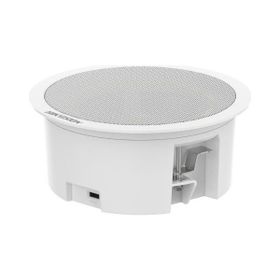 Hikvision DS-QAZ0203G1-S 3 W Network Asma Tavan İkincil Hoparlörü