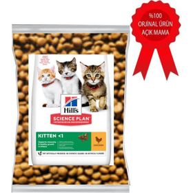 Hill's 1 kg Kitten Tavuklu Yavru Kuru Kedi Maması