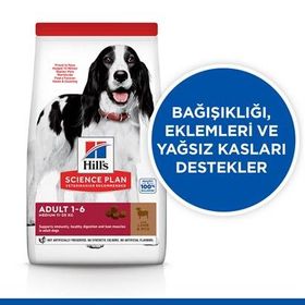 Hill's 2,5 kg Kuzu Etli Yetişkin Kuru Köpek Kuru Maması