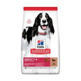 Hill's 2,5 kg Kuzu Etli Yetişkin Kuru Köpek Kuru Maması