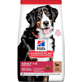 Hill's Adult Large Breed Lamb 12+2 kg Köpek Maması