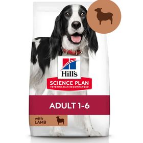 Hills Medium Lamb Orta Irk Kuzulu Yetişkin 14 kg Kuru Köpek Maması